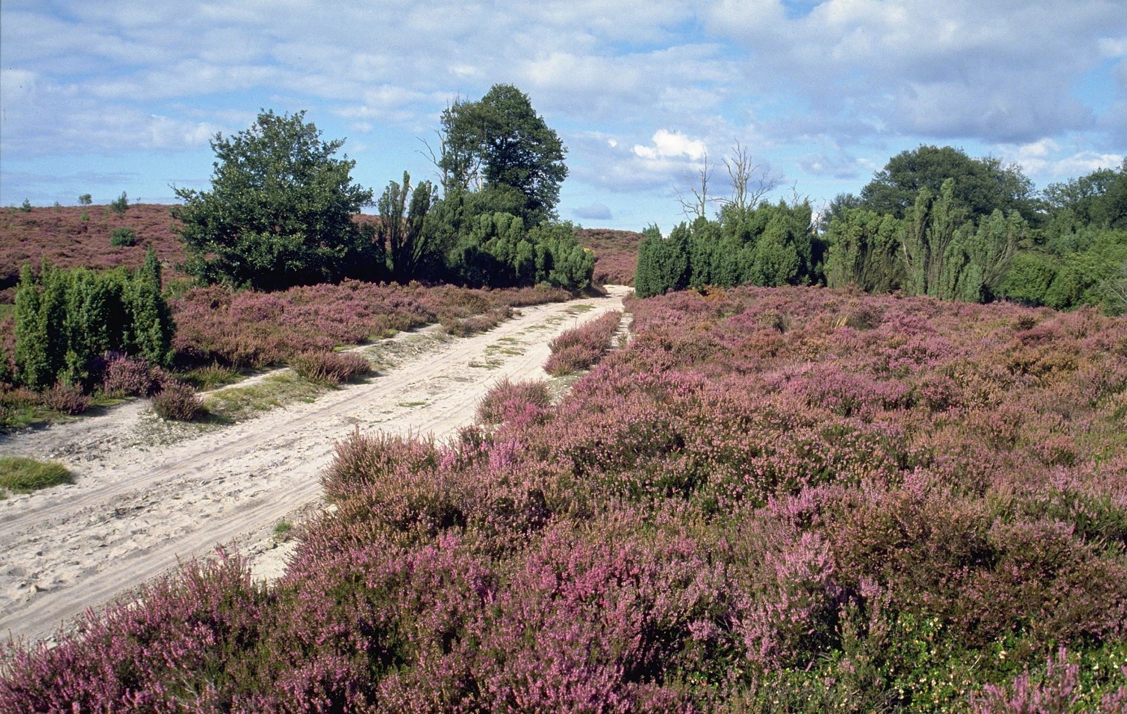 Holten en omgeving heeft hét!